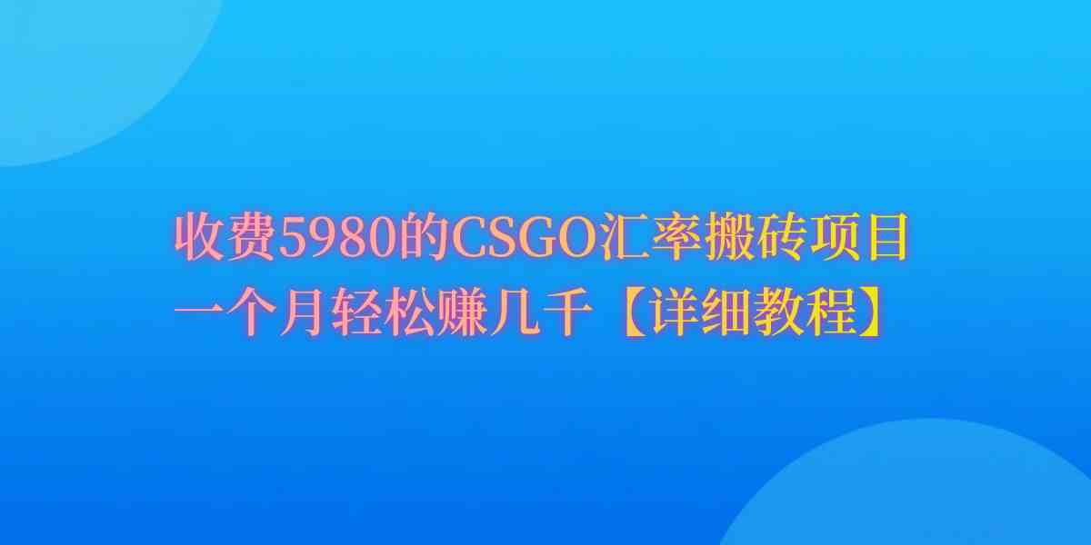 （9776期）CSGO装备搬砖，月综合收益率高达60%，你也可以！-小哥找项目网创