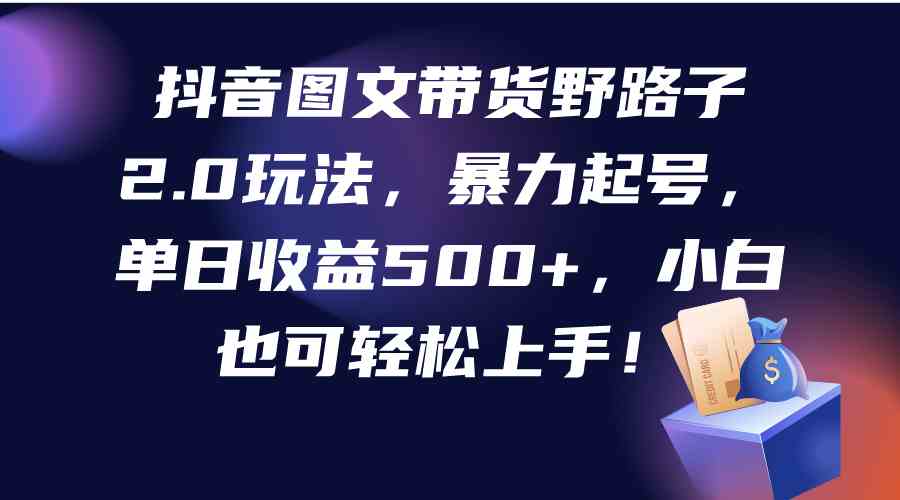 （9790期）抖音图文带货野路子2.0玩法，暴力起号，单日收益500+，小白也可轻松上手！-小哥找项目网创