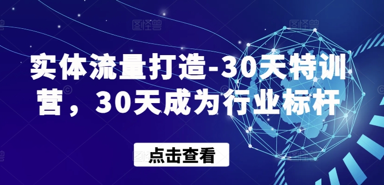 实体流量打造-30天特训营，30天成为行业标杆-小哥找项目网创