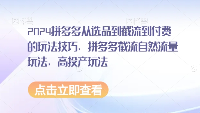 2024拼多多从选品到截流到付费的玩法技巧，拼多多截流自然流量玩法，高投产玩法-小哥找项目网创