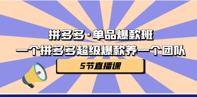 拼多多·单品爆款班，一个拼多多超级爆款养一个团队（5节直播课）-小哥找项目网创