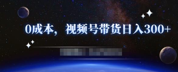 零基础视频号带货赚钱项目，0成本0门槛轻松日入300+【视频教程】￼-小哥找项目网创