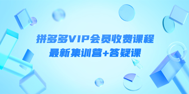 某社群·拼多多VIP会员收费课程，最新集训营+答疑课-价值3299元￼-小哥找项目网创