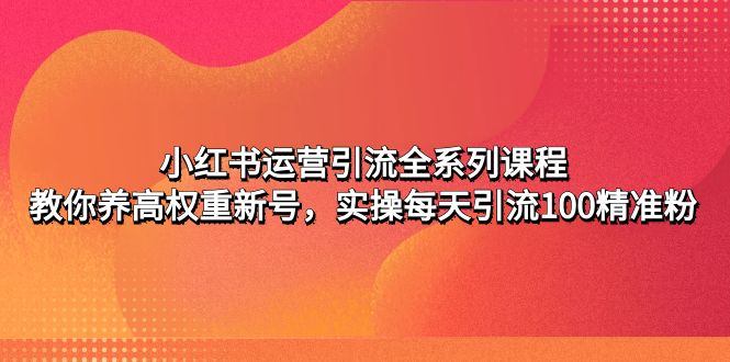 小红书运营引流全系列课程：教你养高权重新号，实操每天引流100精准粉-小哥找项目网创