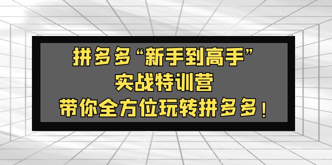 拼多多“新手到高手”实战特训营：带你全方位玩转拼多多！-小哥找项目网创