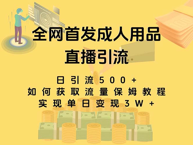 最新全网独创首发，成人用品直播引流获客暴力玩法，单日变现3w保姆级教程-小哥找项目网创