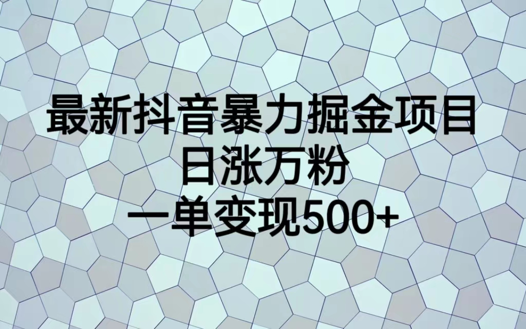 最火热的抖音暴力掘金项目，日涨万粉，多种变现方式，一单变现可达500+-小哥找项目网创