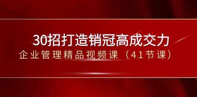 30招-打造销冠高成交力-企业管理精品视频课（41节课）-小哥找项目网创