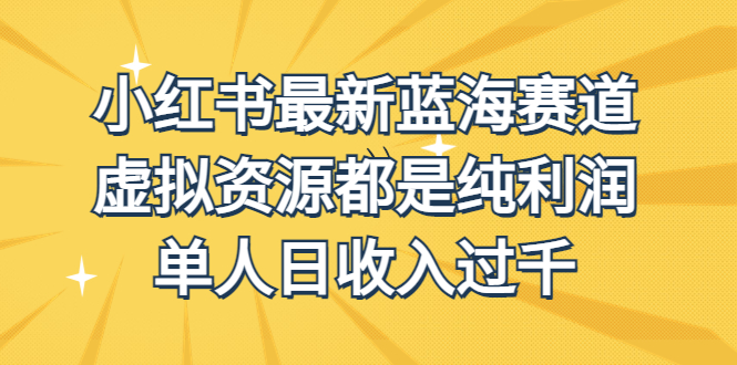 外面收费1980的小红书最新蓝海赛道，虚拟资源都是纯利润，单人日收入过千-小哥找项目网创