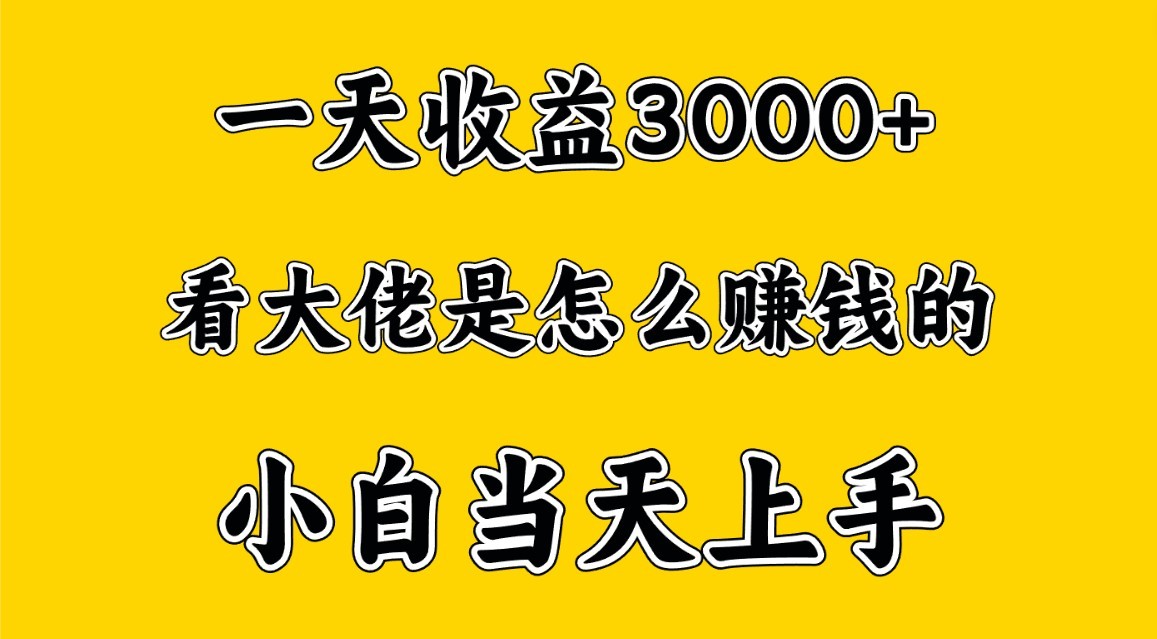 一天赚3000多，大佬是这样赚到钱的，小白当天上手，穷人翻身项目-小哥找项目网创