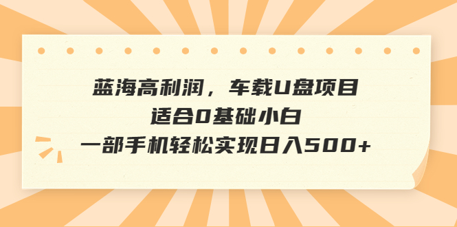 蓝海高利润，车载U盘项目，适合0基础小白，一部手机轻松实现日入500+-小哥找项目网创