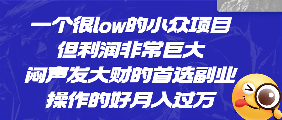 一个很low的小众项目，但利润非常巨大，闷声发大财的首选副业，月入过万-小哥找项目网创