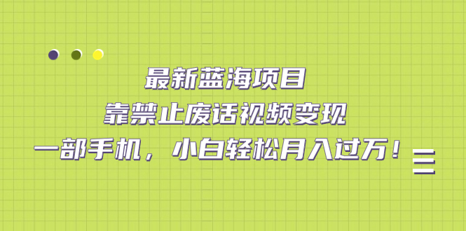 最新蓝海项目，靠禁止废话视频变现，一部手机，小白轻松月入过万！-小哥找项目网创