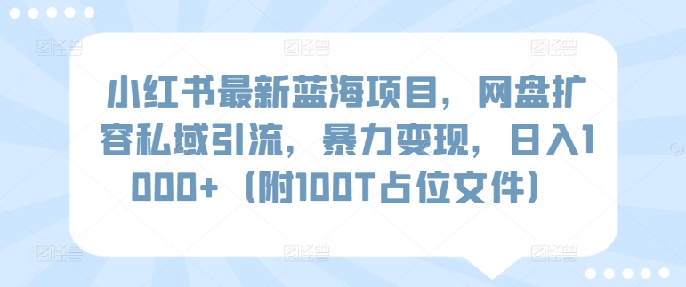 小红书最新蓝海项目，网盘扩容私域引流，暴力变现，日入1000+（附100T占位文件）-小哥找项目网创