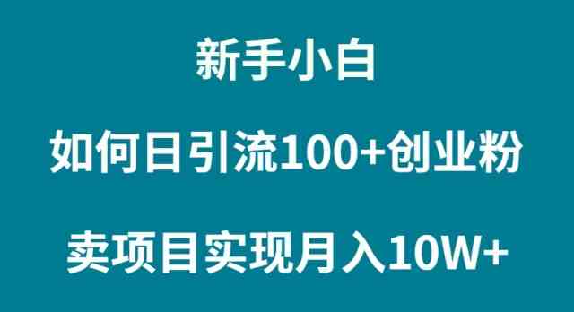 （9556期）新手小白如何通过卖项目实现月入10W+-小哥找项目网创