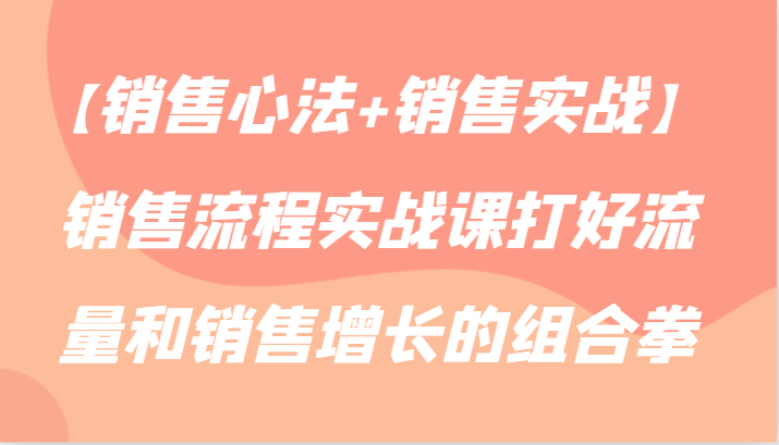 【销售心法+销售实战】销售流程实战课打好流量和销售增长的组合拳-小哥找项目网创