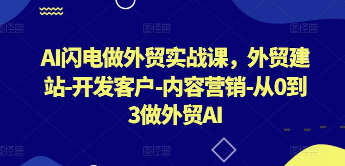 AI闪电做外贸实战课，​外贸建站-开发客户-内容营销-从0到3做外贸AI(更新)-小哥找项目网创