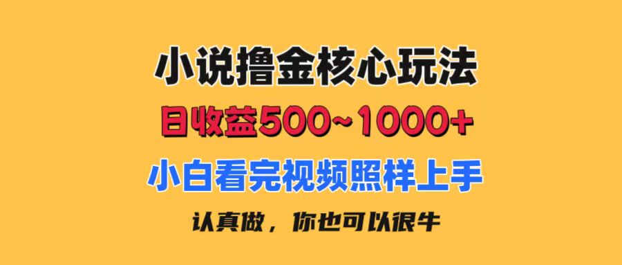 小说撸金核心玩法，日收益500-1000+，小白看完照样上手，0成本有手就行-小哥找项目网创