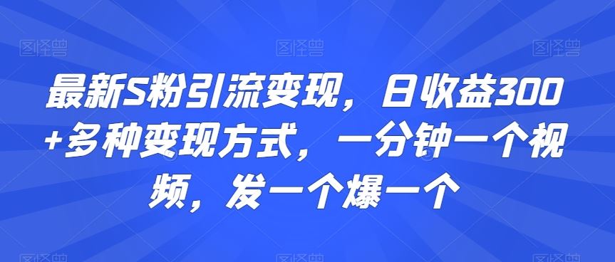 最新S粉引流变现，日收益300+多种变现方式，一分钟一个视频，发一个爆一个【揭秘】-小哥找项目网创