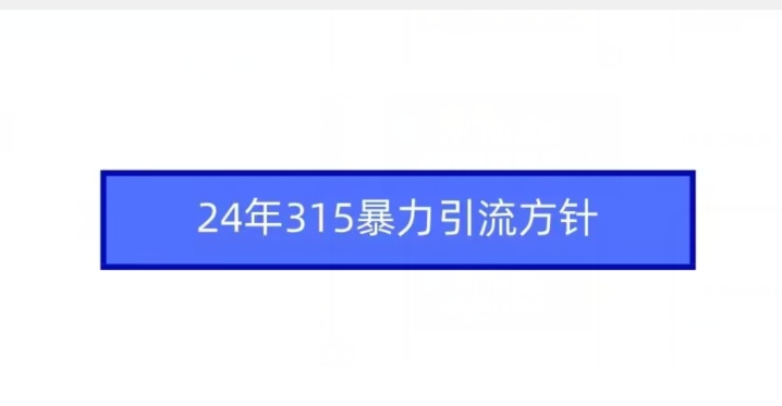 24年315暴力引流方针-小哥找项目网创