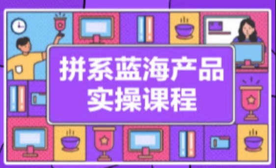 拼系冷门蓝海产品实操课程，从注册店铺到选品上架到流量维护环环相扣-小哥找项目网创