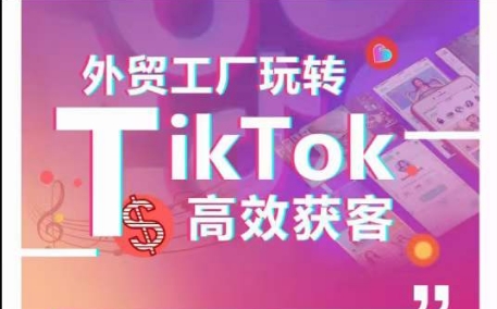 外贸工厂玩转TikTok高效获客，多种引流方式与账号定位技巧，拆解爆款短视频打造成功案例-小哥找项目网创