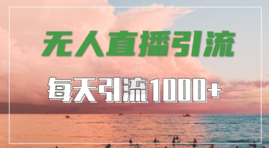 抖音快手视频号全平台通用，无人直播引流法，超暴力引流1000+高质量精准创业粉【揭秘】-小哥找项目网创