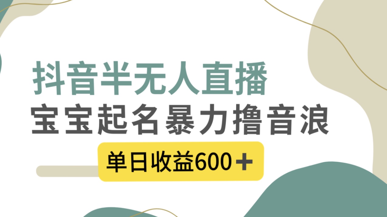 抖音半无人直播，宝宝起名，暴力撸音浪，单日收益600+-小哥找项目网创