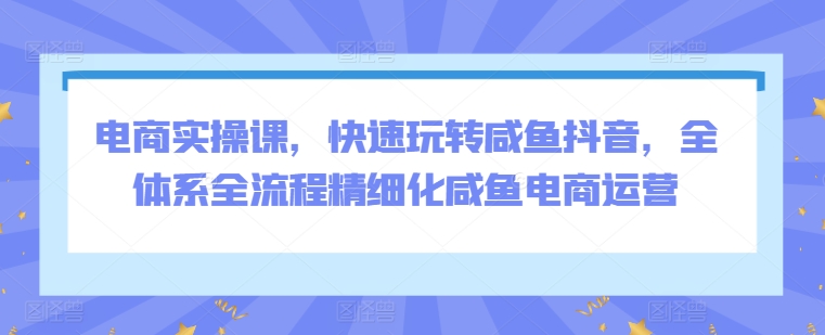 电商实操课，快速玩转咸鱼抖音，全体系全流程精细化咸鱼电商运营-小哥找项目网创