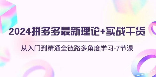 （10816期）2024拼多多 最新理论+实战干货，从入门到精通全链路多角度学习-7节课-小哥找项目网创