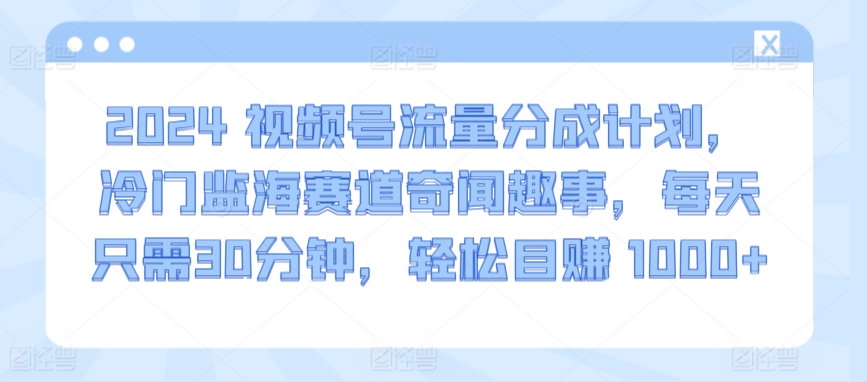 2024视频号流量分成计划，冷门监海赛道奇闻趣事，每天只需30分钟，轻松目赚 1000+-小哥找项目网创