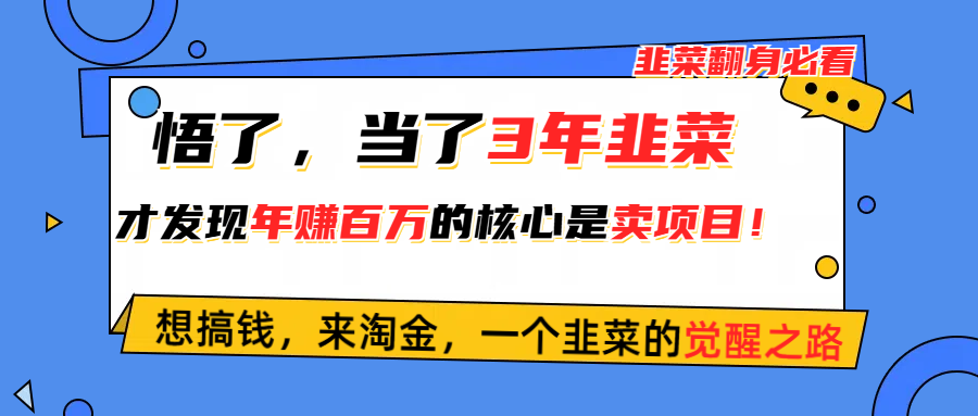 （10759期）悟了，当了3年韭菜，才发现网赚圈年赚100万的核心是卖项目，含泪分享！-小哥找项目网创