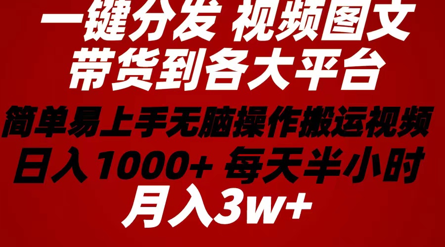 （10667期）2024年 一键分发带货图文视频  简单易上手 无脑赚收益 每天半小时日入1…-小哥找项目网创