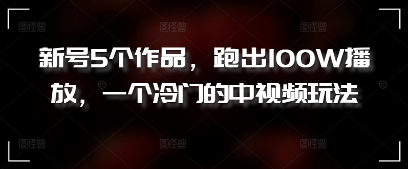 新号5个作品，跑出100W播放，一个冷门的中视频玩法-小哥找项目网创