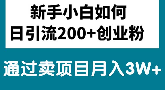 （10843期）新手小白日引流200+创业粉,通过卖项目月入3W+-小哥找项目网创