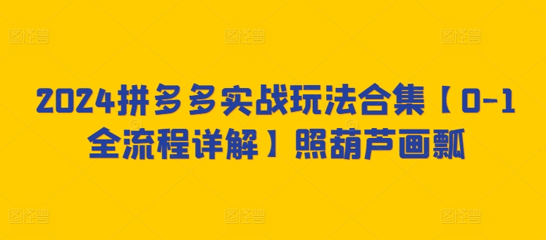 2024拼多多实战玩法合集【0-1全流程详解】照葫芦画瓢-小哥找项目网创