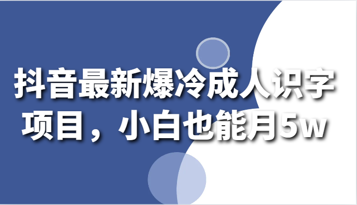 抖音最新爆冷成人识字项目，小白也能月5w-小哥找项目网创