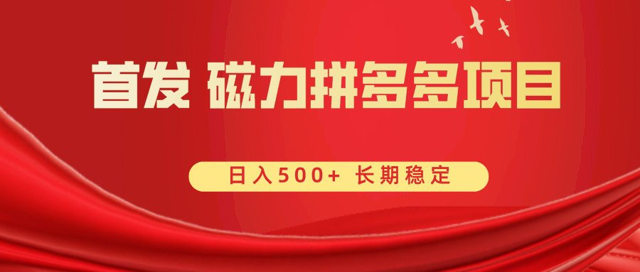 首发 磁力拼多多自撸 日入500+-小哥找项目网创