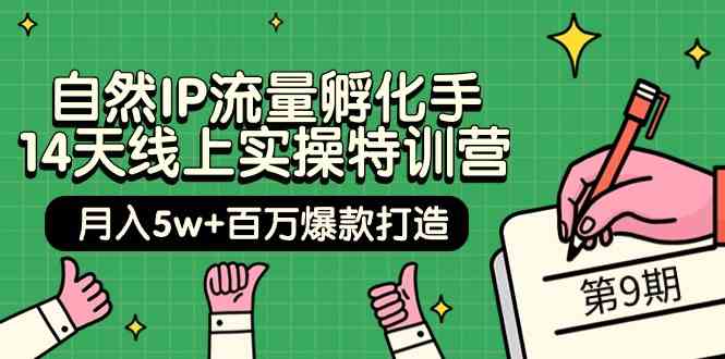 自然IP流量孵化手14天线上实操特训营【第9期】月入5w+百万爆款打造 (74节)-小哥找项目网创