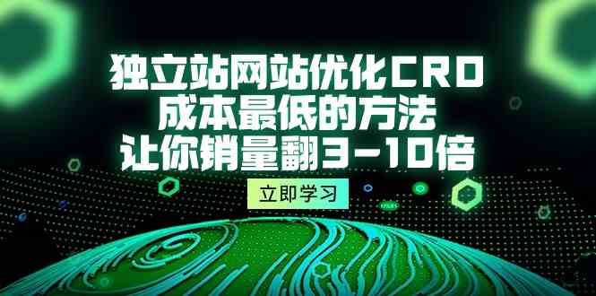 （10173期）独立站网站优化CRO，成本最低的方法，让你销量翻3-10倍（5节课）-小哥找项目网创