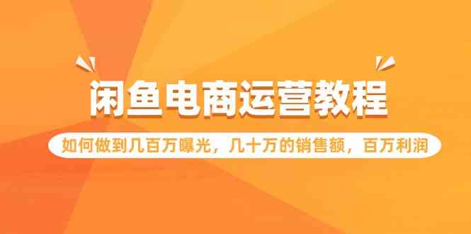 （9560期）闲鱼电商运营教程：如何做到几百万曝光，几十万的销售额，百万利润-小哥找项目网创