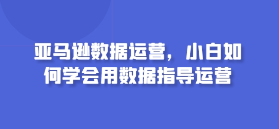 亚马逊数据运营，小白如何学会用数据指导运营-小哥找项目网创