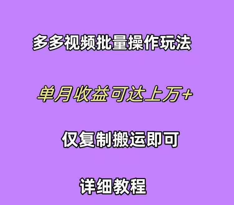 （10029期）拼多多视频带货快速过爆款选品教程 每天轻轻松松赚取三位数佣金 小白必…-小哥找项目网创