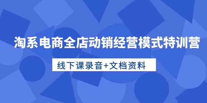 （10192期）淘系电商全店动销经营模式特训营，线下课录音+文档资料-小哥找项目网创