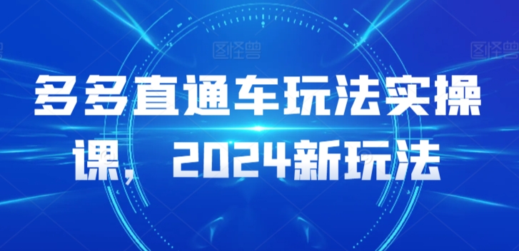 多多直通车玩法实操课，2024新玩法-小哥找项目网创