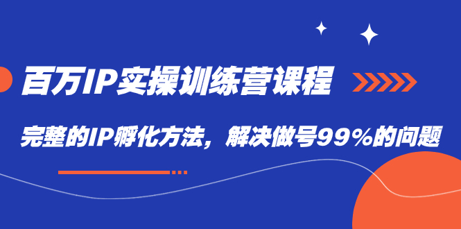 百万IP实战训练营课程，完整的IP孵化方法，解决做号99%的问题-小哥找项目网创