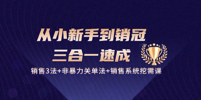 从小新手到销冠三合一速成：销售3法+非暴力关单法+销售系统挖需课 (27节)-小哥找项目网创