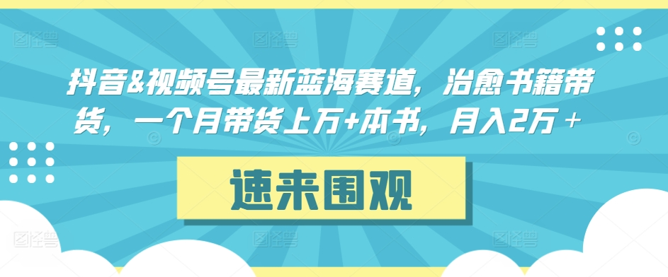 抖音&视频号最新蓝海赛道，治愈书籍带货，一个月带货上万+本书，月入2万＋-小哥找项目网创