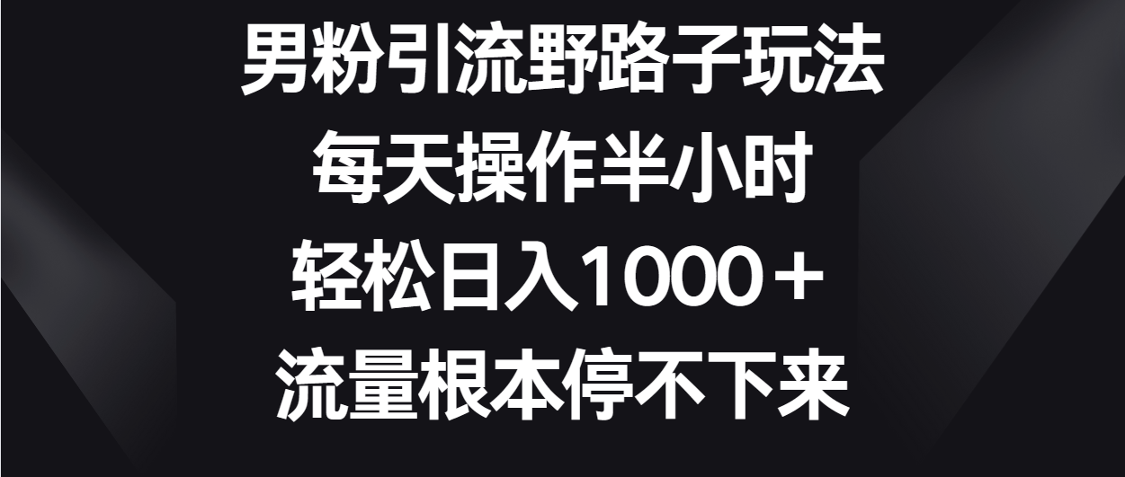 男粉引流野路子玩法，每天操作半小时轻松日入1000＋，流量根本停不下来-小哥找项目网创