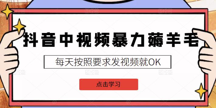 2022抖音中视频暴力薅羊毛白嫖项目：新号每天20块，老号几天几百块，可多号￼-小哥找项目网创